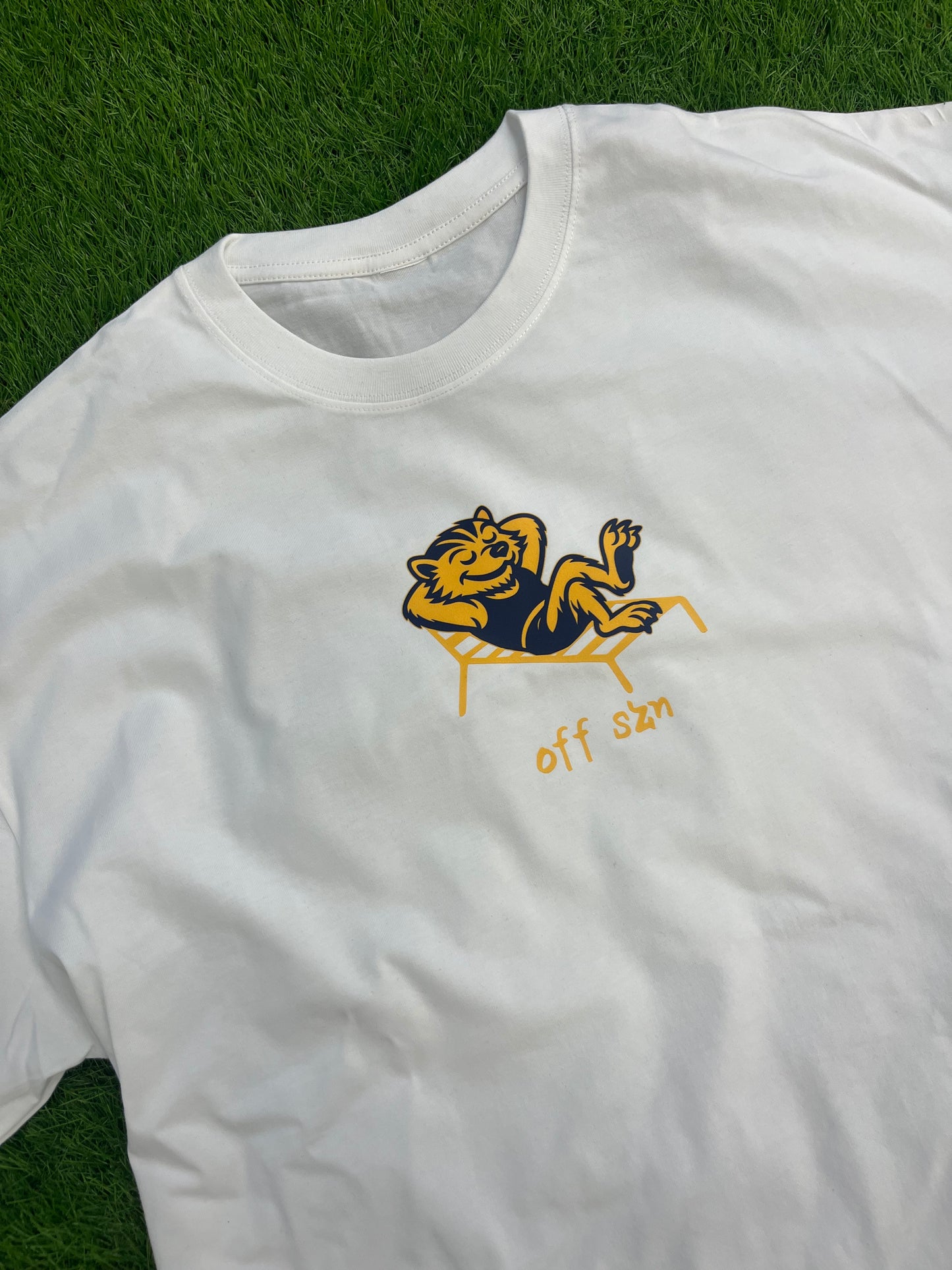 Oversized Ann Arbor "Off Szn" T-Shirt