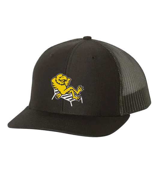 Hawk Chillin' Snapback- Vinyl Printed