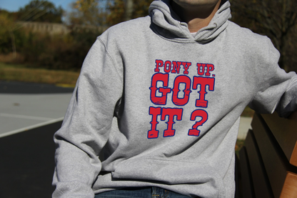 Pony Up Hoodie