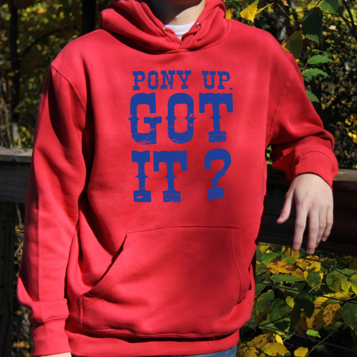 Pony Up Hoodie