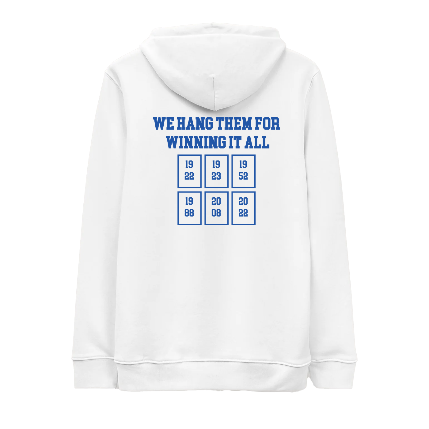 We Hang Banners For Winning It All Hoodie